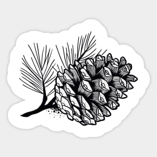Pine cone Sticker